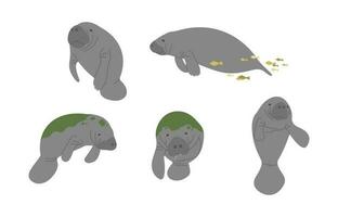 Manatee Group vector illustration cute