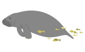 Manatee Single cute vector