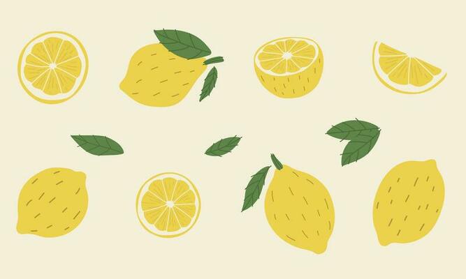 Lemon group illustration