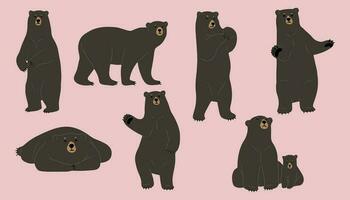 American black bear Vector