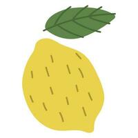Lemon Single cute vector illustration