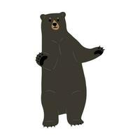 American Black Bear Single cute vector