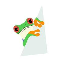 Red-eyed tree frog single and paper vector