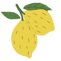 Lemon Single cute vector