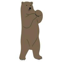 Grizzly Bear Single vector