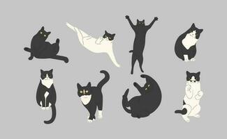 Black cat character vector