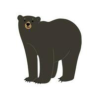 American Black Bear Single vector