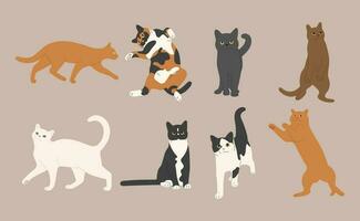 Cat group on a Brown background Vector illustration