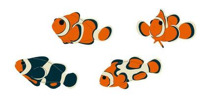Anemonefish group vector cute