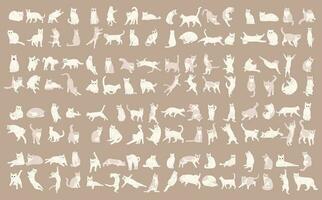 white cat collection vector