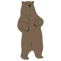 Grizzly Bear Single vector