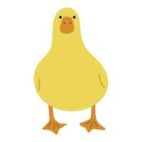 Duck Yellow Single vector