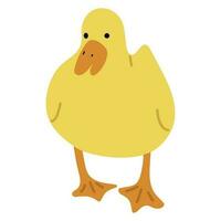 Duck Yellow Single vector