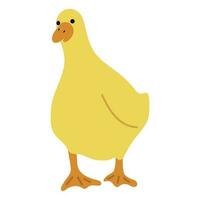 Duck Yellow Single vector