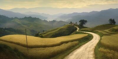 Field rice contouring slope and soil road background. photo