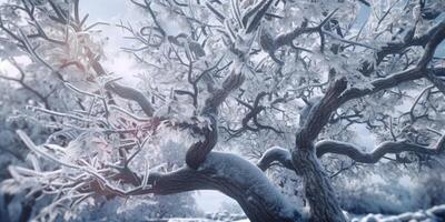 freezing tree on winter from leaves, photo