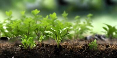 Plant shoots for greening the environment, AI Generated photo