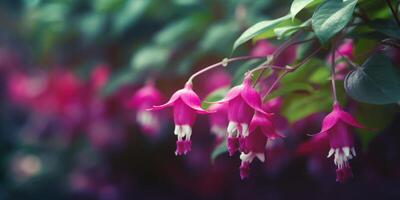 Fuchsia pink flower copy space blurred background, AI Generated photo