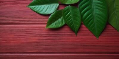 Wooden red board and leaf copy space background. , photo
