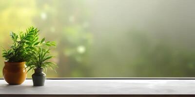 Wood table and window with plant with sun light copy space blurred background, photo