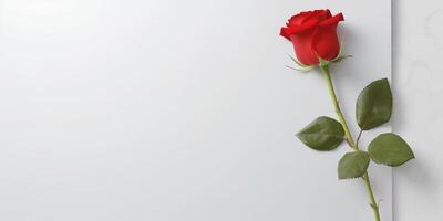 Blank paper note and flower for text copy space background photo