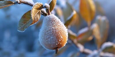 hielo tormenta arboles y Pera Fruta congelar en invierno, ai generado foto