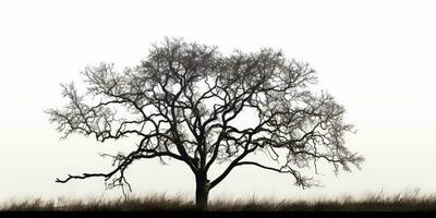 Dry tree silhouette background. AI Generated photo