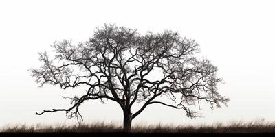 seco árbol silueta antecedentes. ai generado foto