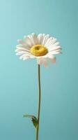 Daisy flower copy space blurred background. AI Generated photo