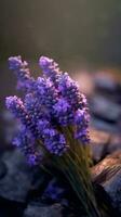 Lavender photo wallpaper background. AI Generated,