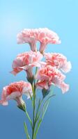 Carnation Dianthus caryophyllus flower blurred background. AI Generated photo