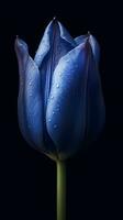 azul tulipán tulipa flor fondo de pantalla antecedentes. ai generado foto