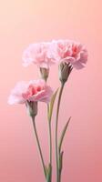 Carnation Dianthus caryophyllus flower blurred background. AI Generated photo