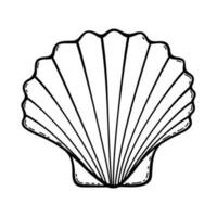 Isolated vector outline black and white seashell.