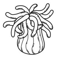 Sketch actinia. Isolated vector outline black and white sea anemone.