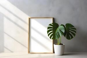 monstera pot with blank wall decoration in a studio with window shade photo
