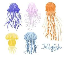 Set of colorful jellyfishes. Marine dwellers vector