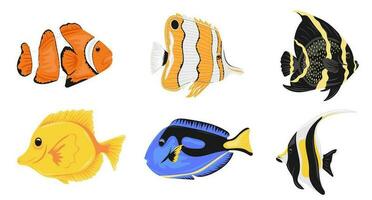 Set of decorative tropical or aquarium fishes vector