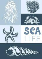 Sea life. Creative aesthetic graphic poster. Underwater animals starfish, shells, corals. vector