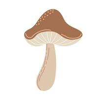 Simple Autumn mushroom. Hand drawn stylized element for autumn decorative design, halloween invitation, harvest or thanksgiving. Vector illustration