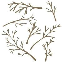 Set of naked deciduous autumn twigs. Hand drawn element for autumn decorative design vector