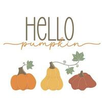 Hello pumpkin. Seasonal square template with motivation quote and  pumpkins in minimalist style. Hand drawn lettering. vector