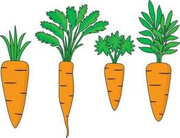 carrot and leaves icon vector illustration set, flat design