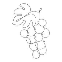 Grape drawn in one continuous line. One line drawing, minimalism. Vector illustration.