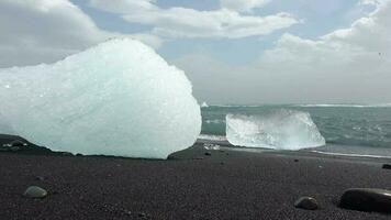 Diamond Beach in Iceland with blue icebergs melting on black sand and ice glistening with sunlight. video