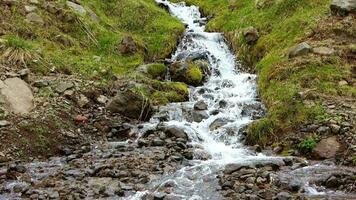 un pequeño corriente fluye mediante un verde prado en Islandia. video