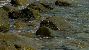 Waves breaking near a rocky shore video