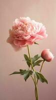 Peony flower copy space blurred background. AI Generated photo