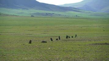 estatua menhires Balbals en el central asiático estepas video