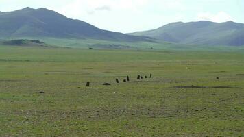 Statue Menhirs Balbals in the Central Asian Steppes video